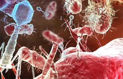 Бактериофаги: современные аспекты применения